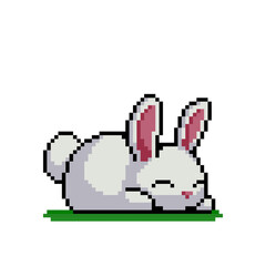 Pixel bunny image. for 8 bit game assets. Cross stitch pattern or t-shirt design vector illustration. - obrazy, fototapety, plakaty