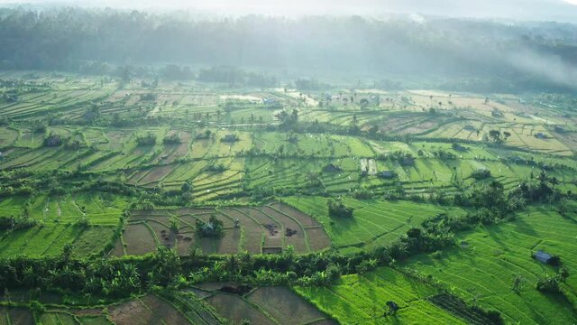 Aerial landscape view taken by drone of rice paddy fields in Bali and located near Amlapura in Karangasem province