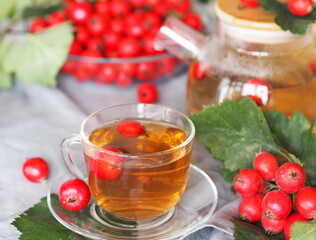 Benefits of herbal tea with hawthorn. Cup on a white plate with berries. The hawthorn harvesting season for future use. Alternative medicine.