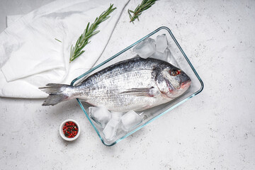 Bowl with raw dorado fish and ice cubes on light background