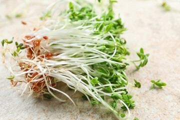 Fresh micro green on color background, closeup