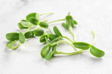 Fresh micro green on light background, closeup