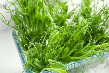 Bowl with fresh micro green on light background, closeup