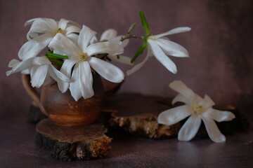 White magnolia in brown earthenware mug that stands on a wooden stand.
