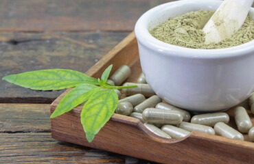 Andrographis Paniculata.