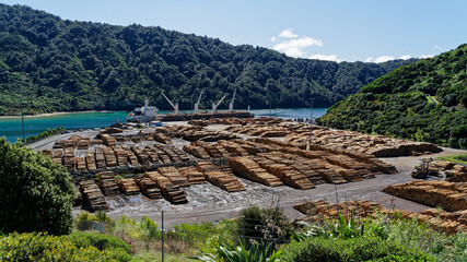 Pine tree logs being loaded onto a ship for export at Shakespeare Bay, Waimahara Wharf, Port...