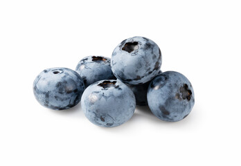 Blueberries on a white background