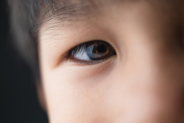 Closeup of beautiful eyes of 5 years old Asian kid. A young boy with black pupils and brown iris.