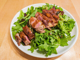 Close up shot of fried fried duck breast with vegetable