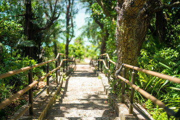 沖縄県石垣島の海がある風景 Ishigaki Okinawa