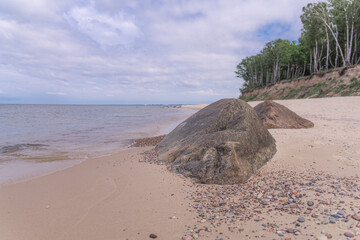 beach with palm trees