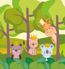 jungle animals wildlife