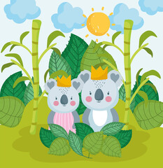 cute koalas in jungle