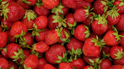 fresh strawberries top view. Summer Dessert