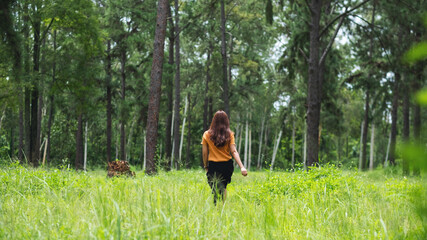 Rear view image of a woman walking into the pine trees forest