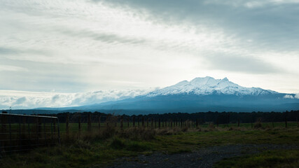 Snow caped Mt Ruapehu under the stormy clouds with farm fence and gate in the foreground, view from Desert Road, North Island