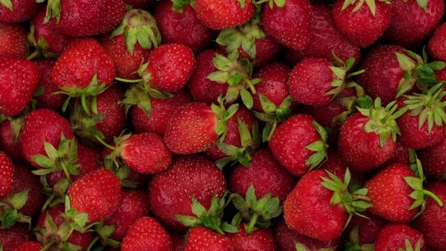 fresh strawberries top view, rotate. Summer Dessert. 4K UHD video