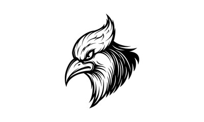 Obraz premium Blue Jay head isolated vector