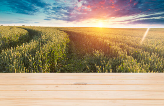 wooden board table in front of wheat field on sunset light. Ready for product display montages