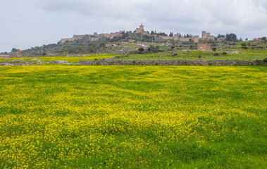 Fototapeta na wymiar General view of Trujillo medieval town