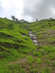Fototapeta na wymiar landscape of sahyadri hills mumbai,maharashtra,india