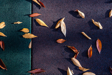 Beautiful and lonely autumn leaves