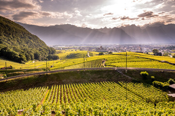 Aigle Castle with vineyards and mountain in Vaud Canton, Switzerland.