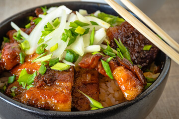 Stir fry pork with rice in a bowl - close-up