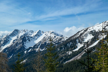 A close up view on the sonw-capped Alps in Slovenia. There are thick, white clouds behind the mountains. There are a few trees in the frame. Idyllic landscape. Cloudy, but sunny day. Calmness