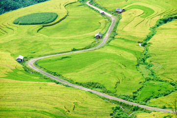 Rice fields on terraced of Y Ty, Bat Xat, Lao Cai, Viet Nam. Rice fields prepare the harvest at...