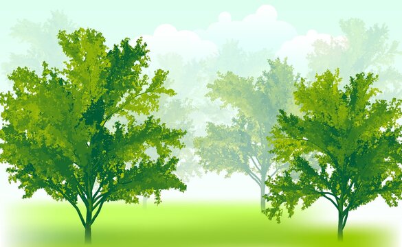 Ecology. Trees in the fog in the forest. Abstract vector illustration of trees in a garden in a transparent fog on a light green background. A sketch for creativity.