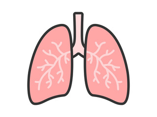 臓器の肺のイラスト