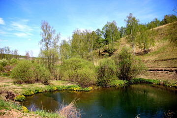 Springtime landscape. Small pond near the road surrounded by the trees and bushes. Green grass and yellow flowers along the shore.