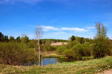 Springtime landscape. Small pond near the road surrounded by the trees and bushes. Wooded hills in the background and bright colored sky over.