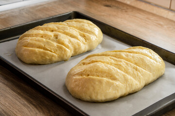 Yeast dough for bread. Making homemade bread.raw dough