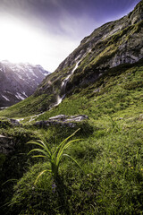 Nature et cascade des Pyrénées proche Gavarnie 