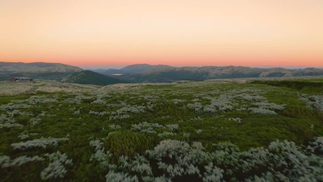 Low Aerial Through Terrain With Lush Wild Plants At Rondane National Park During Sunset In Norway.