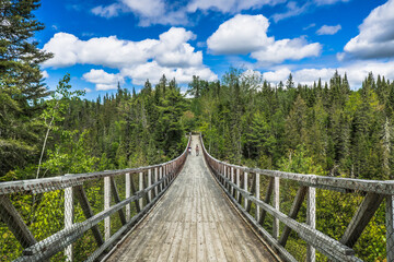 View from the Rimouski river on the highest suspended footbridge in Quebec, 63 meters high and 99...