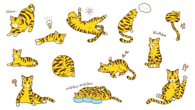 かわいい！動くトラ猫のアニメーション動画