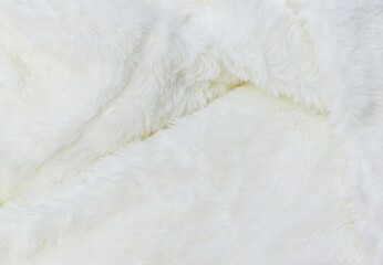 white fur background