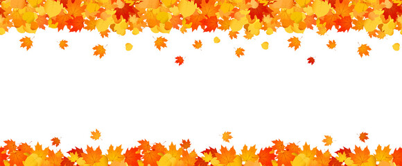 Panoramic autumn frame of orange and red falling leaves.