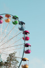 ferries wheel at the amusement park - 446394581