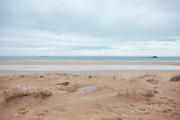 Pink stones on beach shore