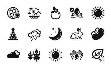 Fototapeta premium Vector set of Christmas tree, Gluten free and Organic tested icons simple set. Moon stars, Eco food and Flood insurance icons. Beans, Cloudy weather and Sea mountains signs. Vector