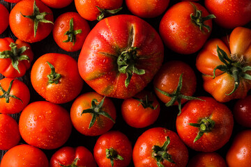 Delicious red tomatoes  full of organic. Fresh tomatoes, It can be used as background. Realfood.