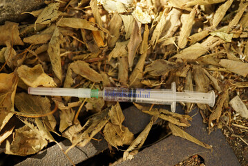 Syringe thrown on the ground