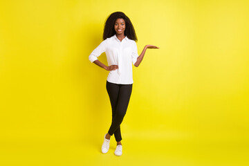 Fototapeta na wymiar Full length photo of afro american young lady hold hand empty space sale isolated on yellow color background