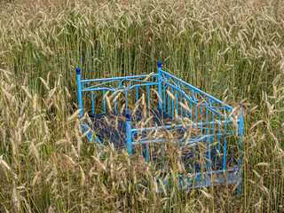 Bett im Kornfeld