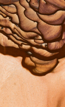 Detail of Deschutes Picture Jasper patterns