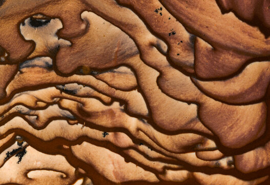 Detail of Deschutes Picture Jasper patterns